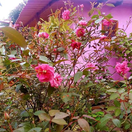 Villa Agape - Chapada Dos Veadeiros Alto Paraíso de Goiás Zewnętrze zdjęcie