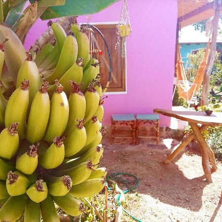 Villa Agape - Chapada Dos Veadeiros Alto Paraíso de Goiás Zewnętrze zdjęcie