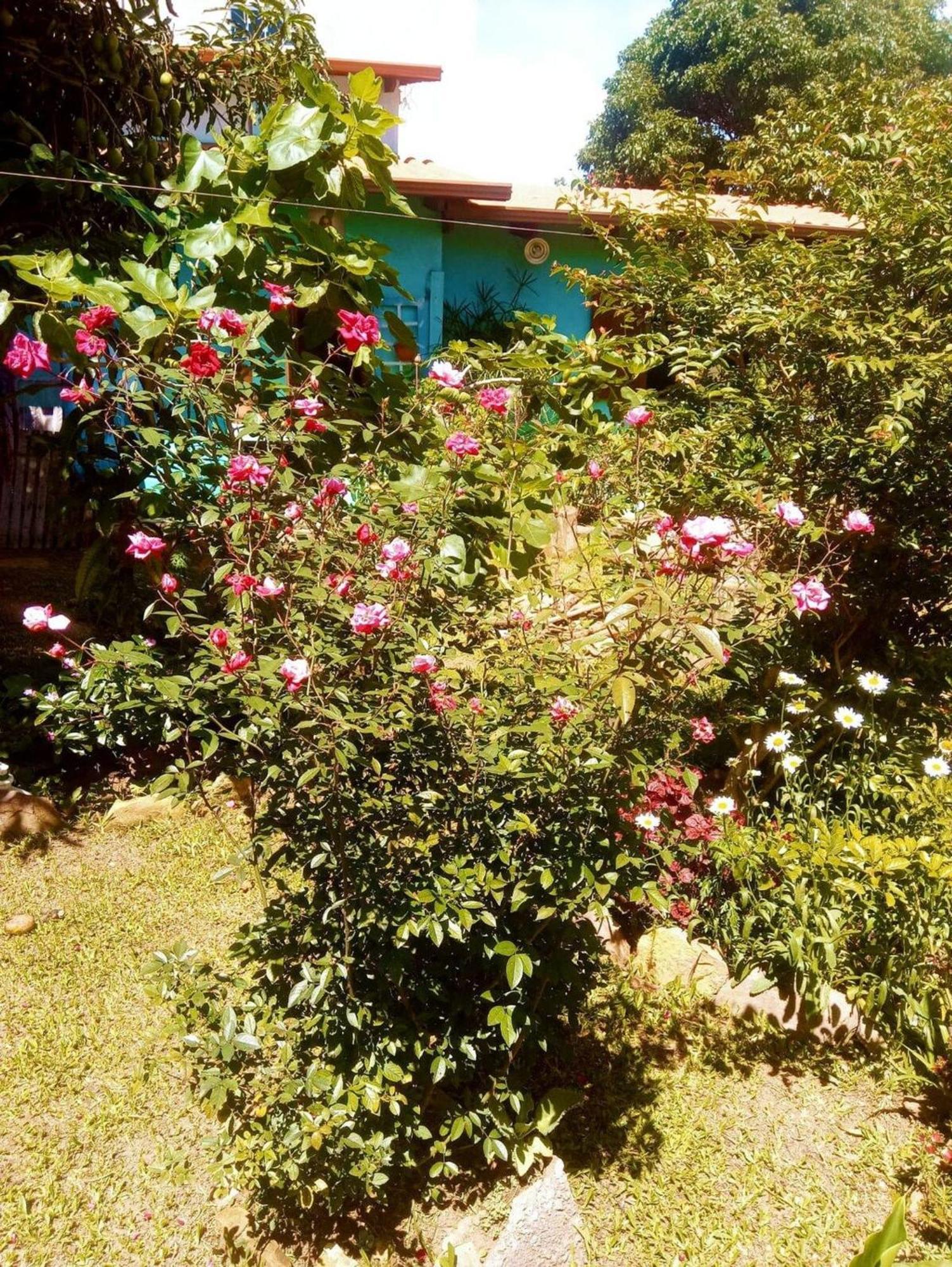 Villa Agape - Chapada Dos Veadeiros Alto Paraíso de Goiás Zewnętrze zdjęcie